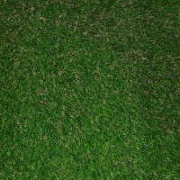 چمن مصنوعی شقایق چمن مصنوعی شقایق