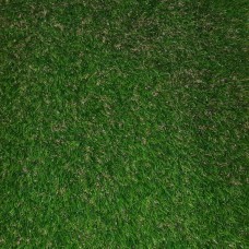 چمن مصنوعی شقایق