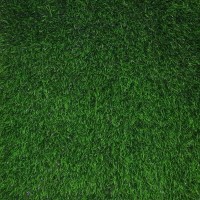 چمن مصنوعی اقاقیا چمن مصنوعی اقاقیا