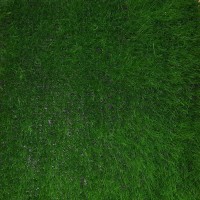 چمن مصنوعی بنفشه چمن مصنوعی بنفشه