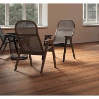 لمینیت روت پلاس