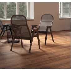 لمینیت روت پلاس