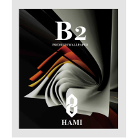 کاغذدیواری آلبوم B2