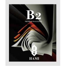 کاغذدیواری آلبوم B2